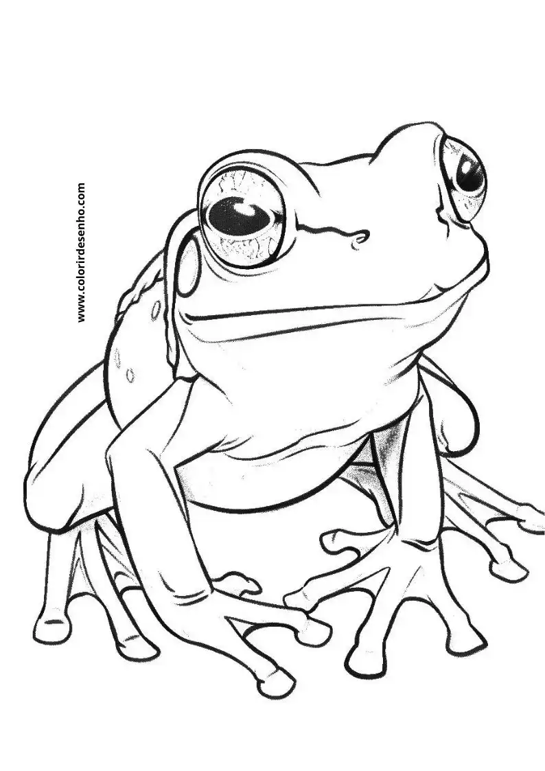 Printable Frog Coloring Pages 4