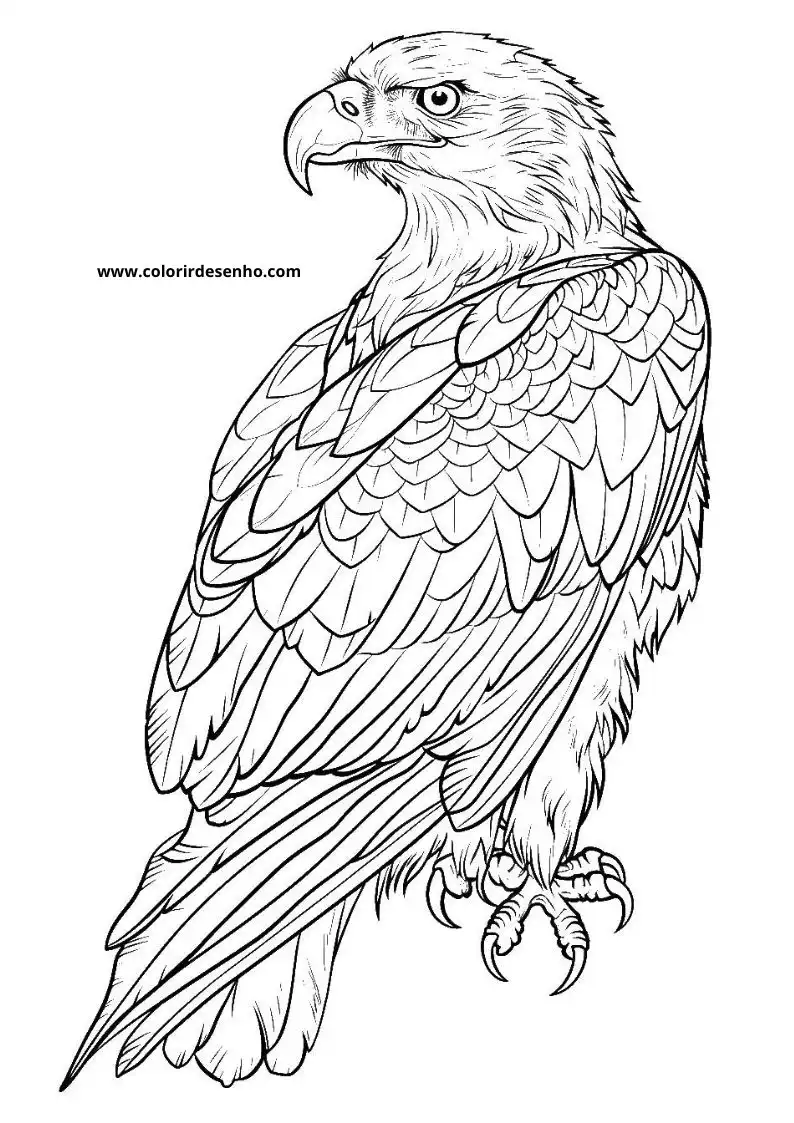 Printable Hawk Coloring Pages 5