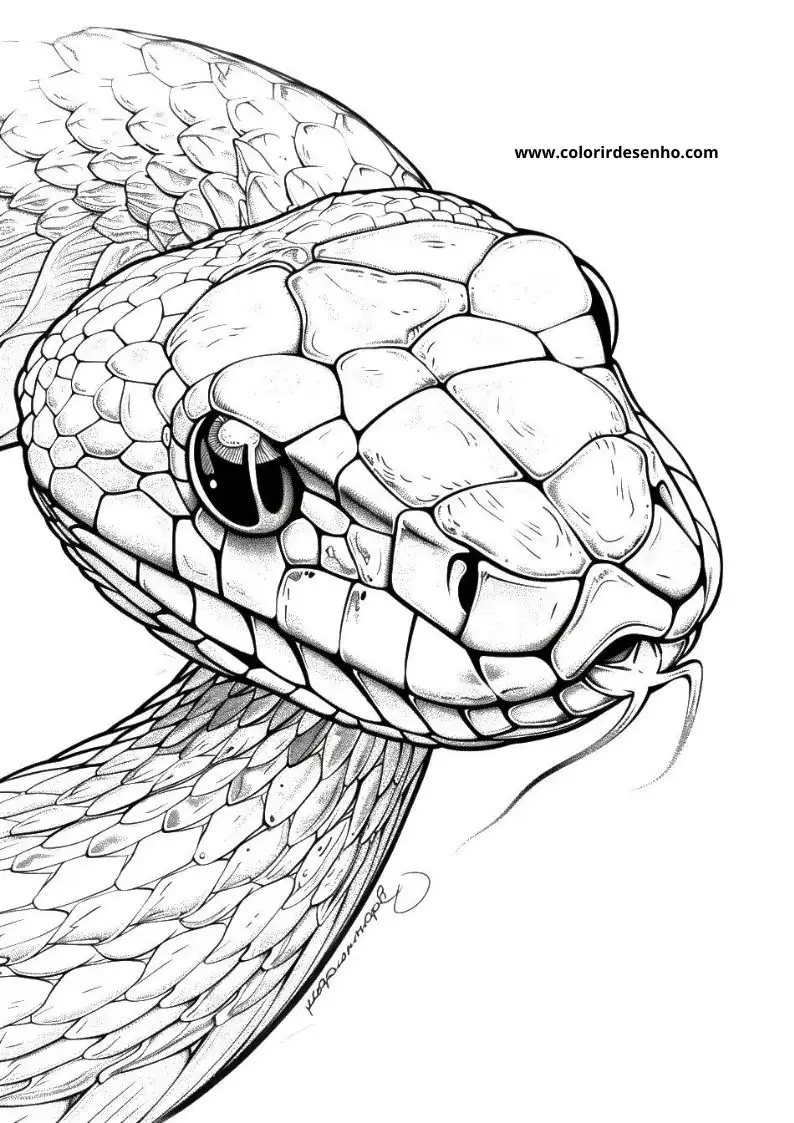 Printable Snake Coloring Pages 1