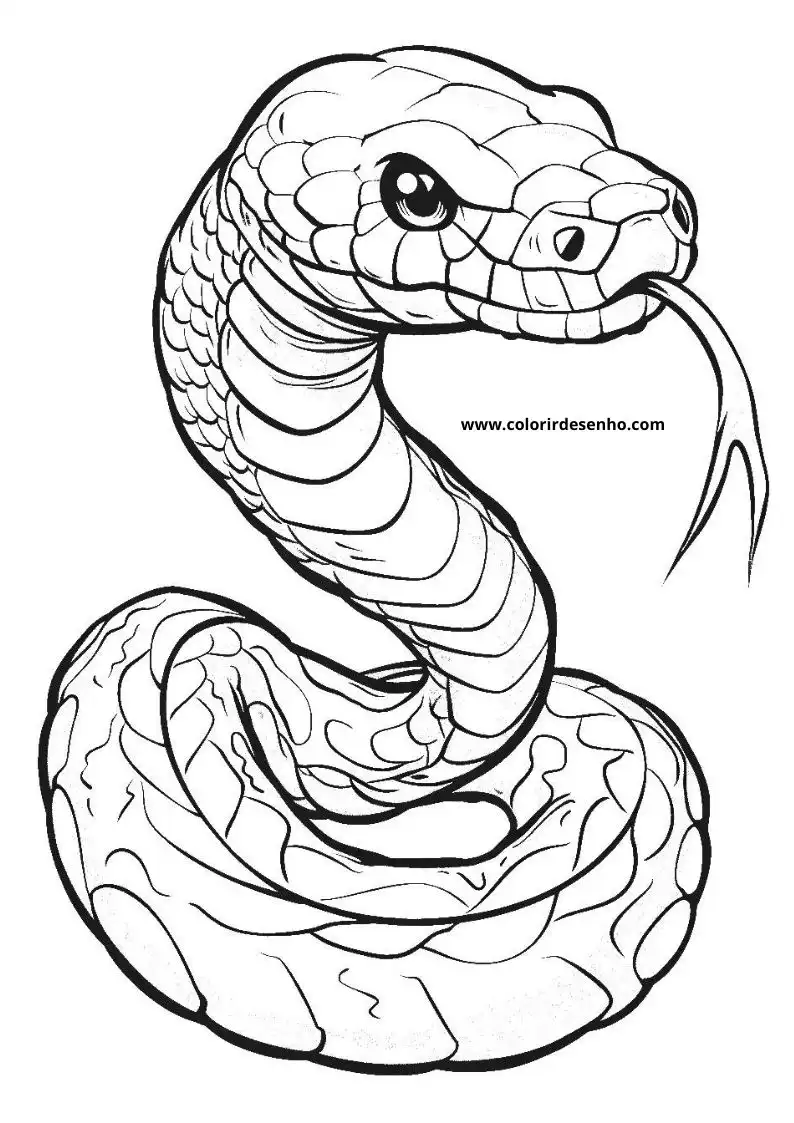 Printable Snake Coloring Pages 10
