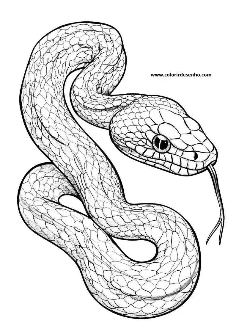 Printable Snake Coloring Pages 9