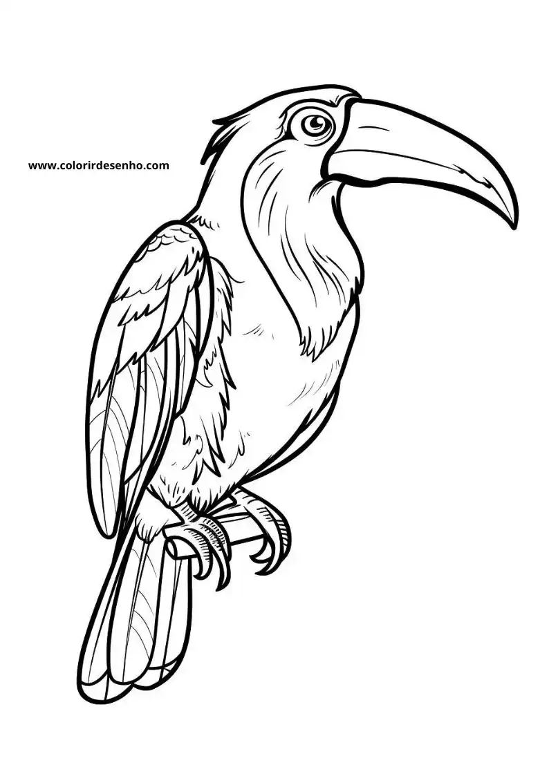 Printable Toucan Coloring Pages 2