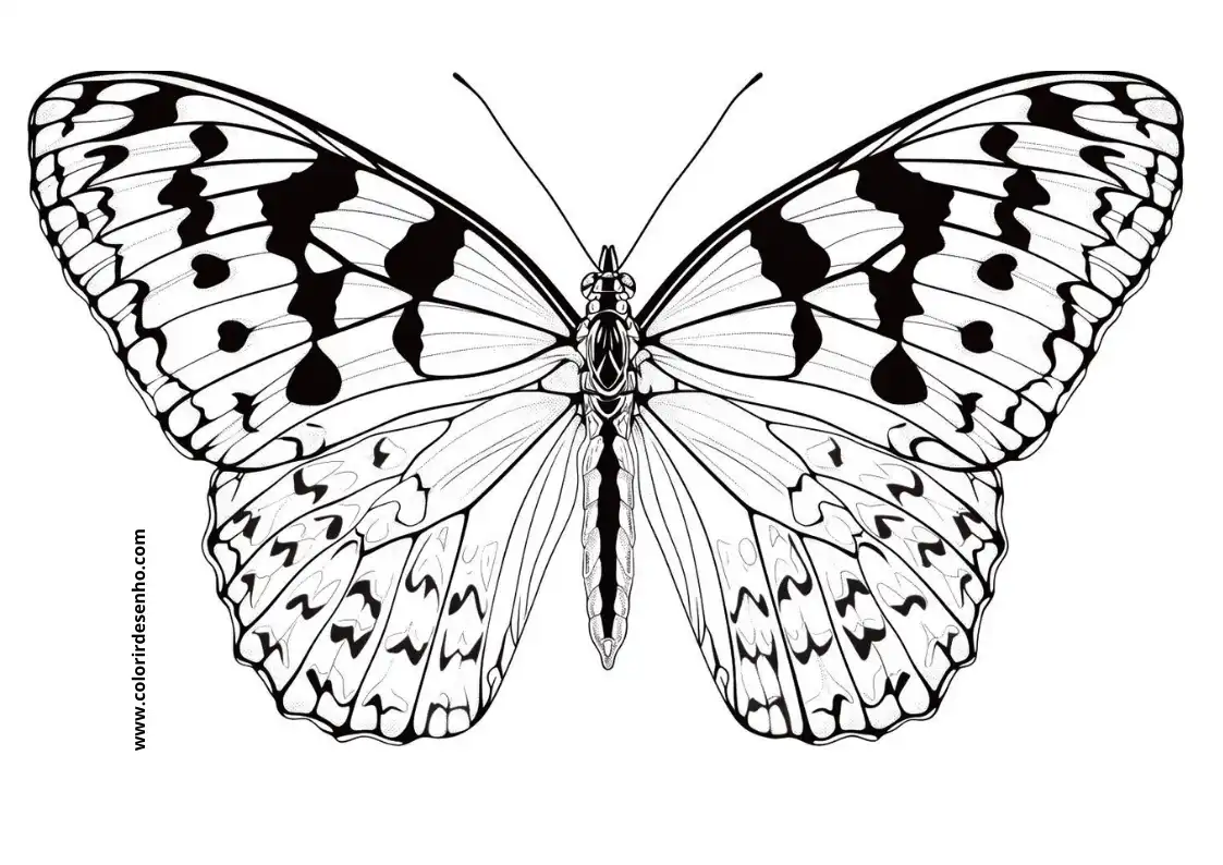 Realistic Butterfly Coloring Pages 3