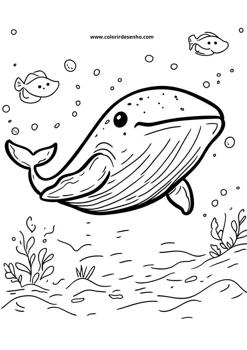 Whale Coloring Pages (139+ Free Printables) 56 Realistic Whale 6254
