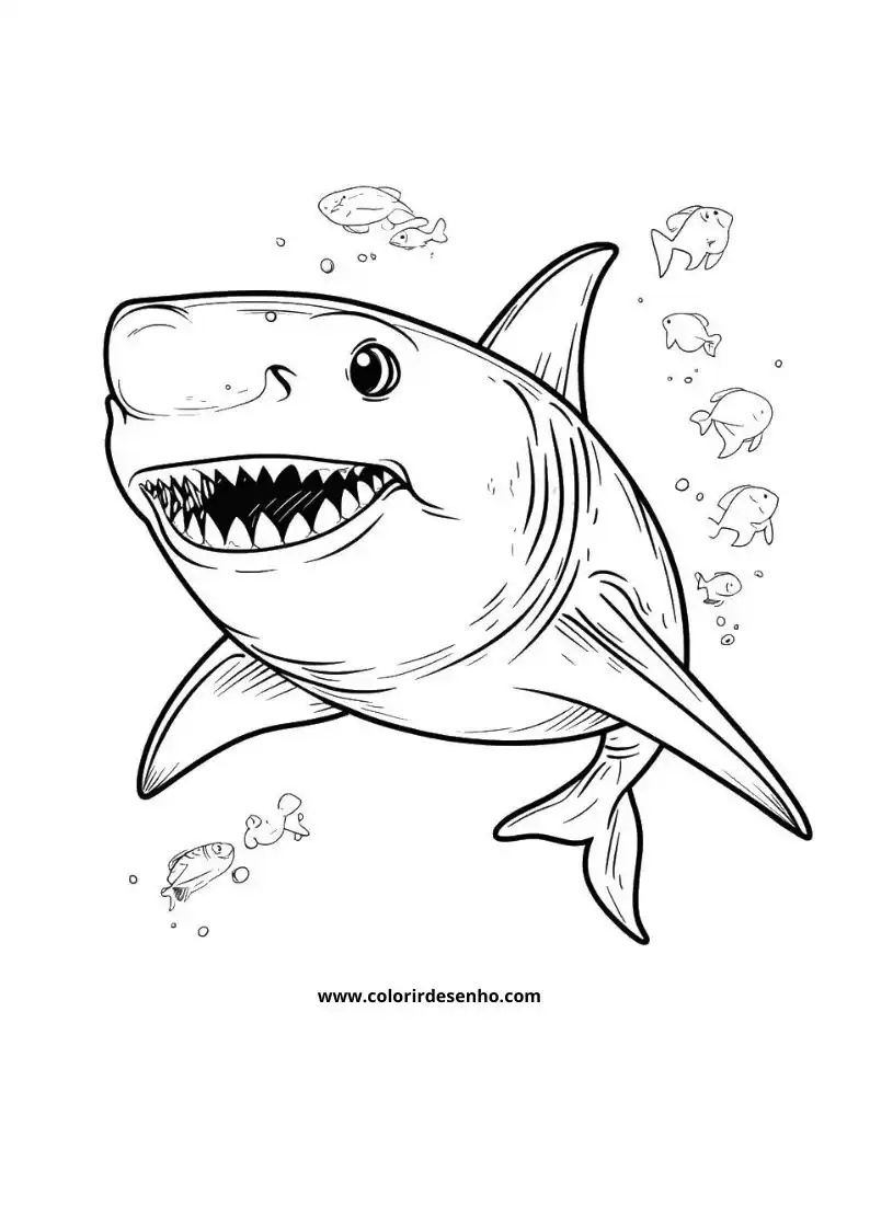 Shark Coloring Pages 5