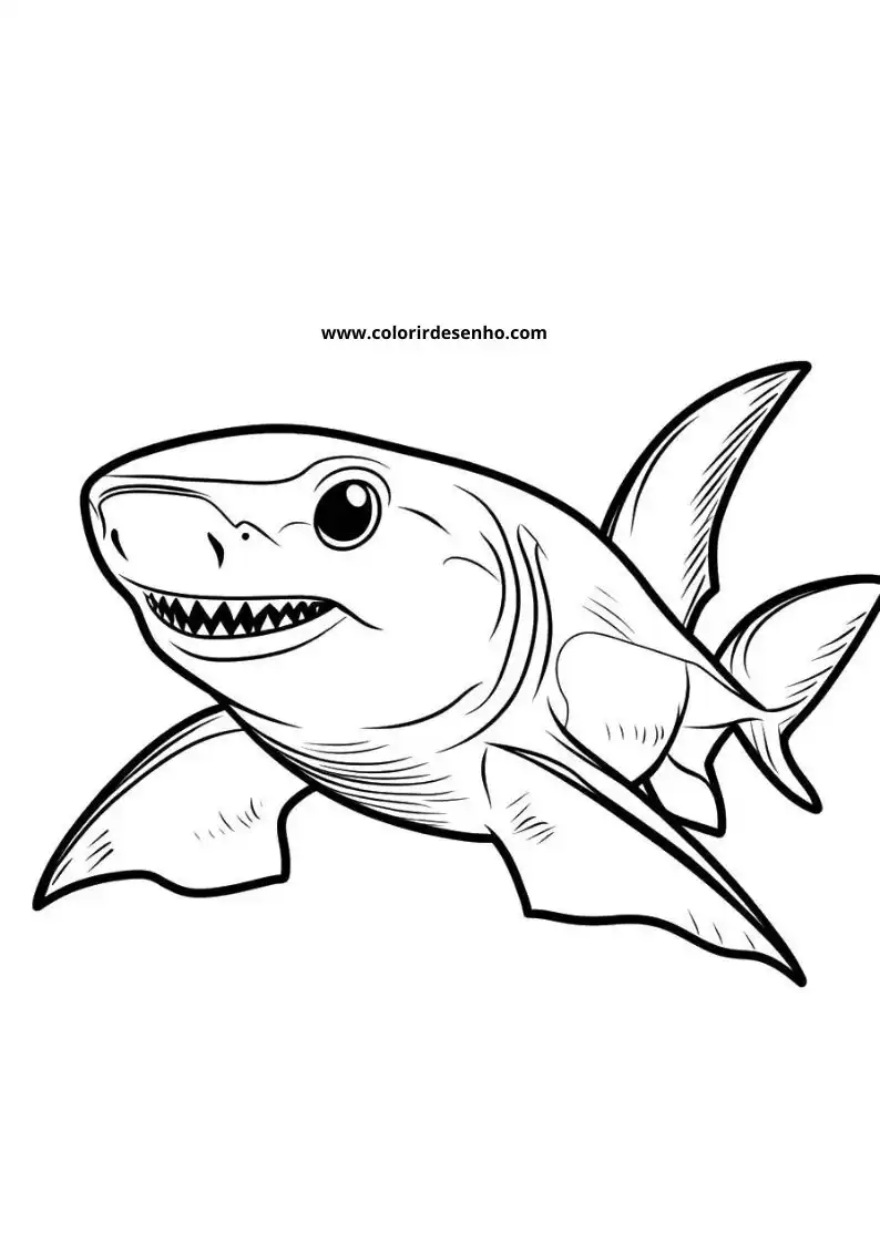 Shark Picture Coloring Pages 2
