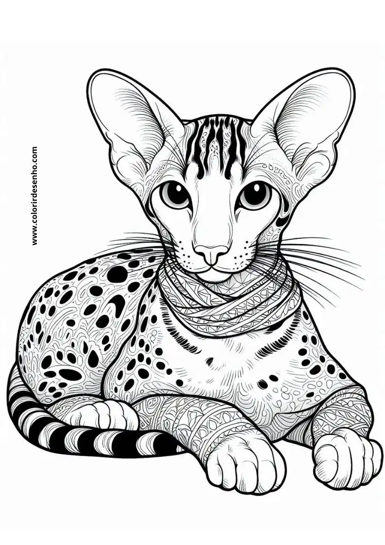 Simple Cats and kittens Coloring Pages 6