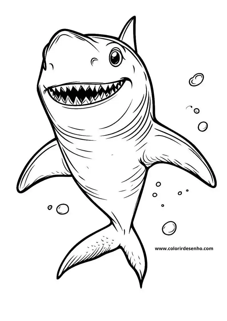 Simple Shark Coloring Pages 8