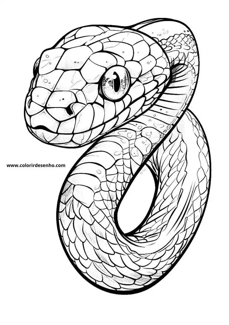 Snake Coloring Pages 12