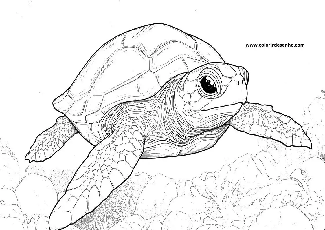 Turtle Coloring Pages 5