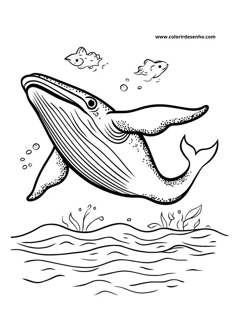 Whale Coloring Pages (139+ Free Printables) 114 Whale 6196