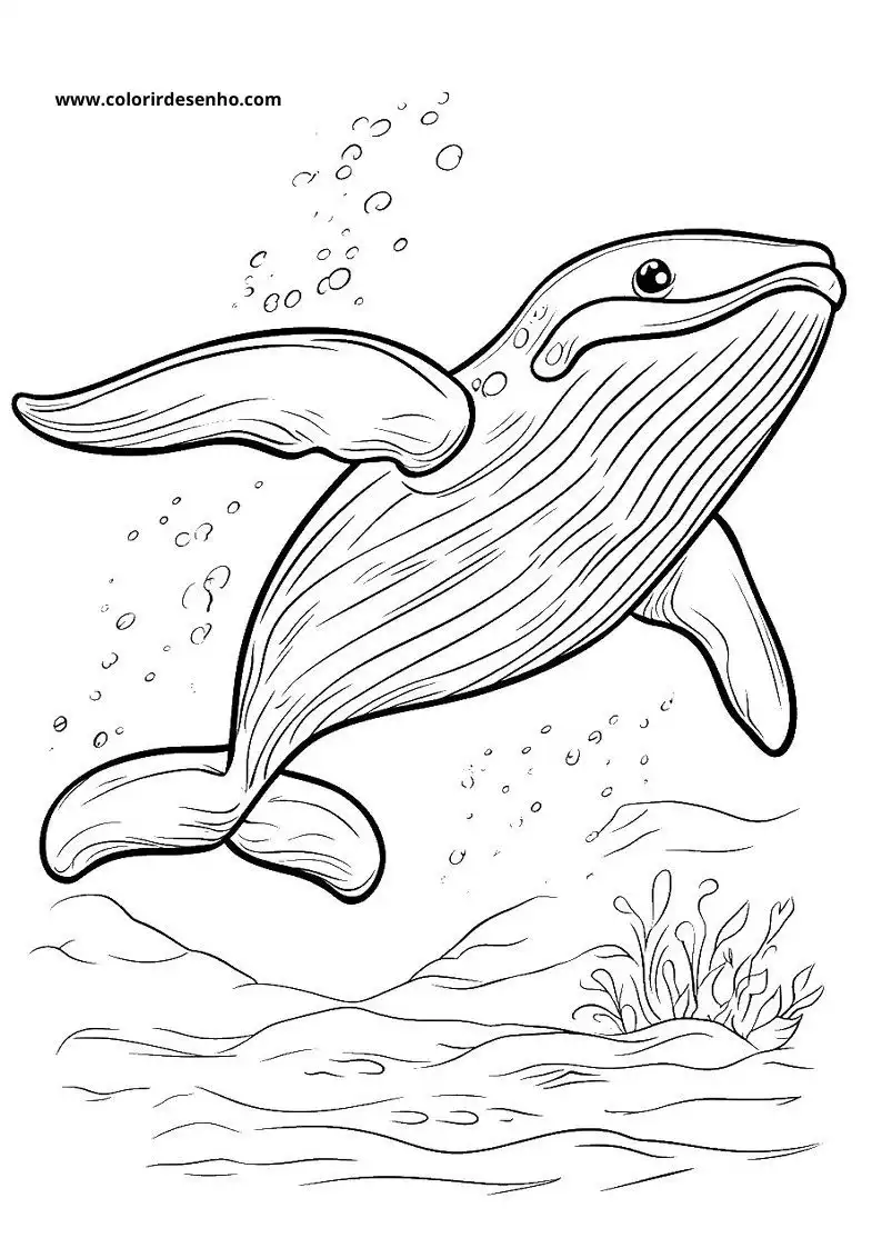 Whale Coloring Pages (139+ Free Printables) 43 Whale 6267