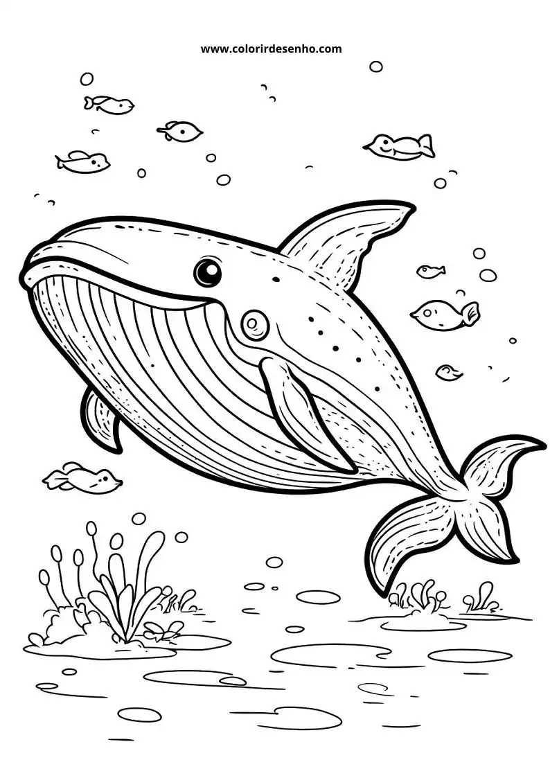 Whale Coloring Pages (139+ Free Printables) 30 Whale 6280