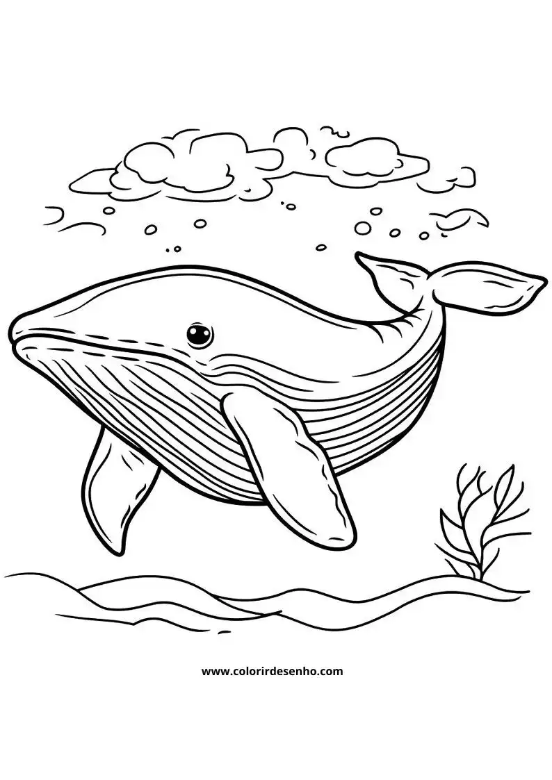 Whale Coloring Pages (139+ Free Printables) 100 Whale Drawing 6210