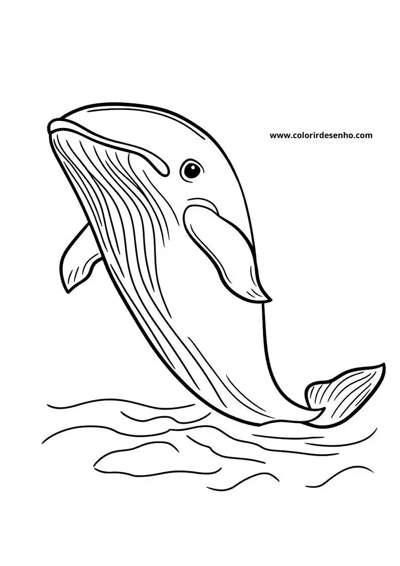 Whale Free Printable Coloring Pages 2