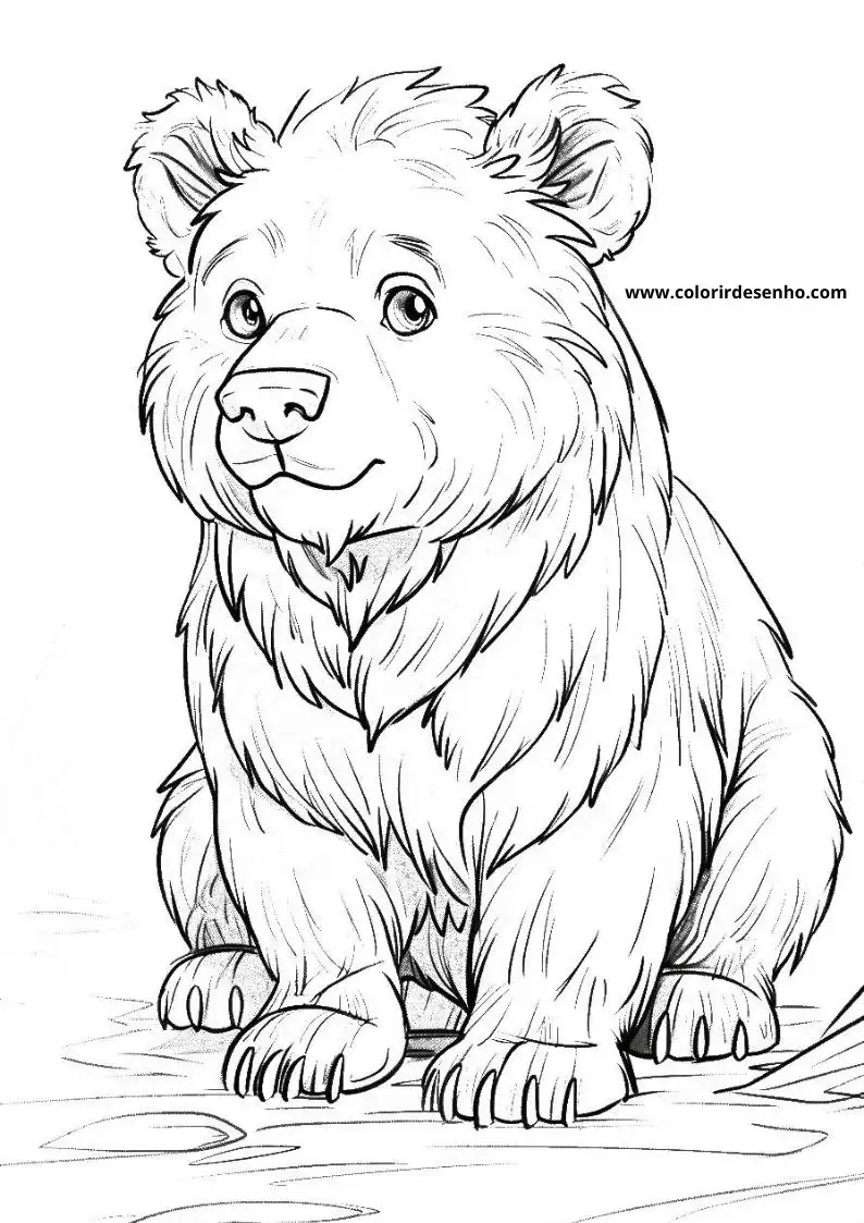bear sitting by water looking curious