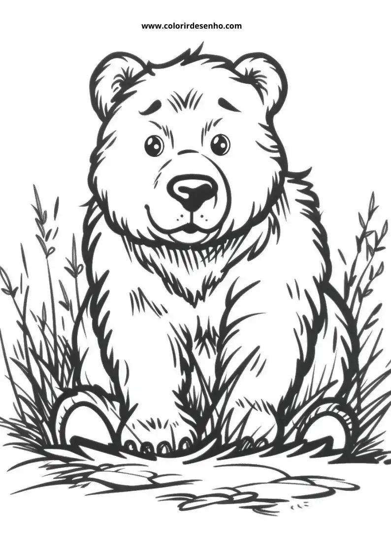 bear sitting in grass smiling looking content
