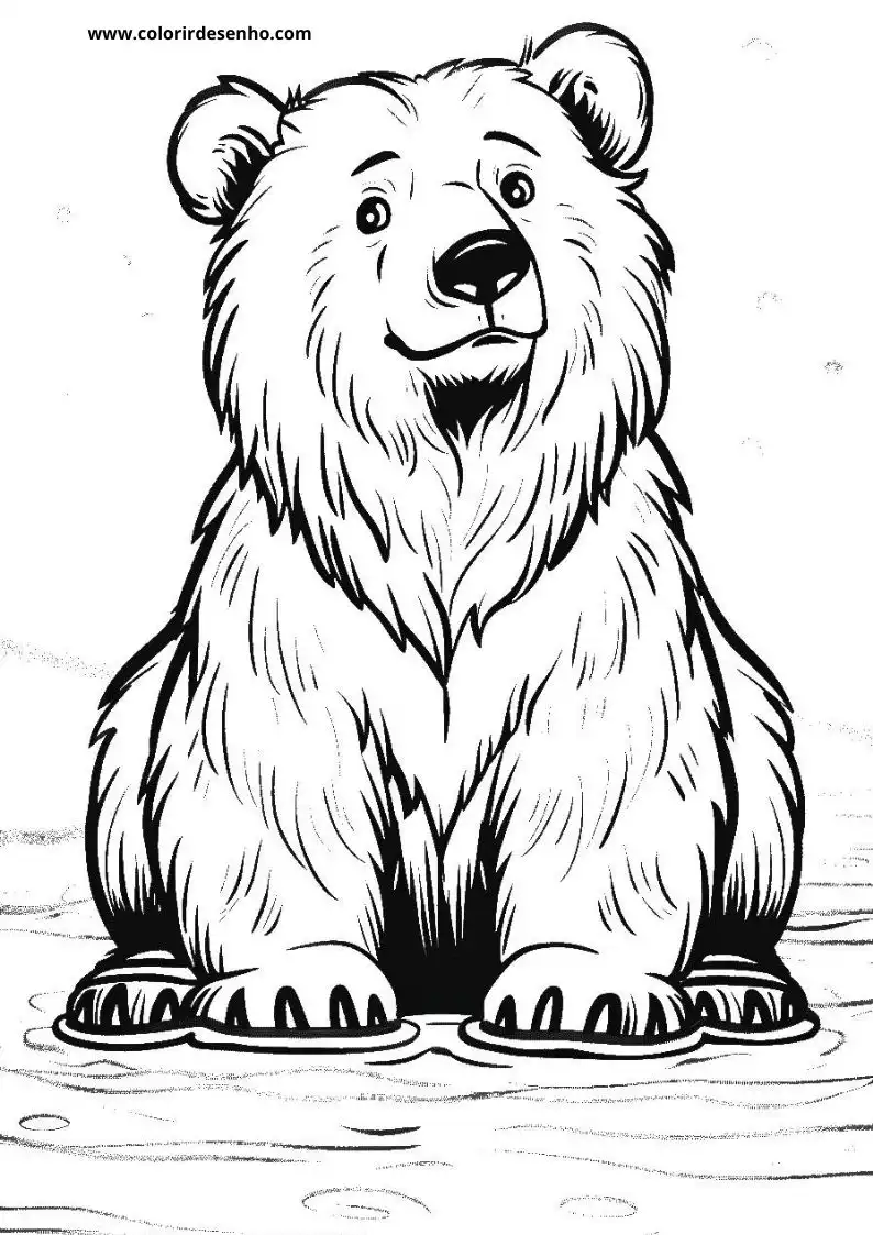 bear sitting in water smiling fur detailed paws visible