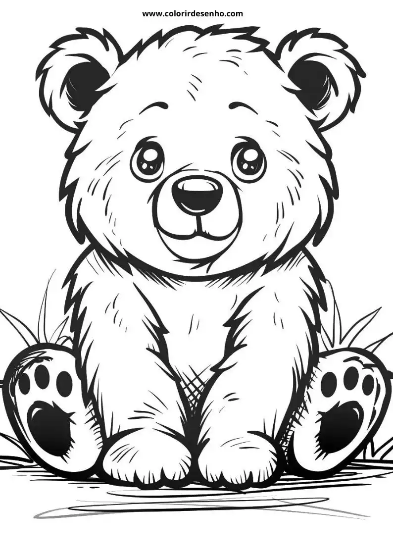 bear sitting on grass looking at viewer