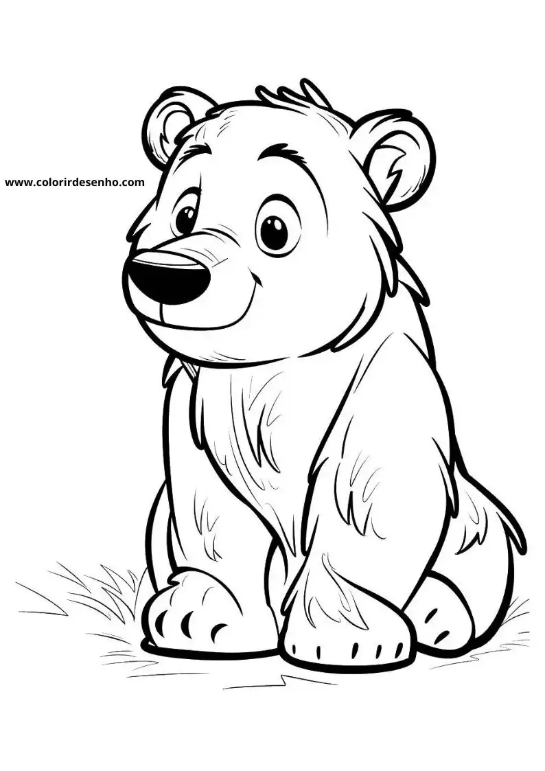 bear sitting on grass looking happy