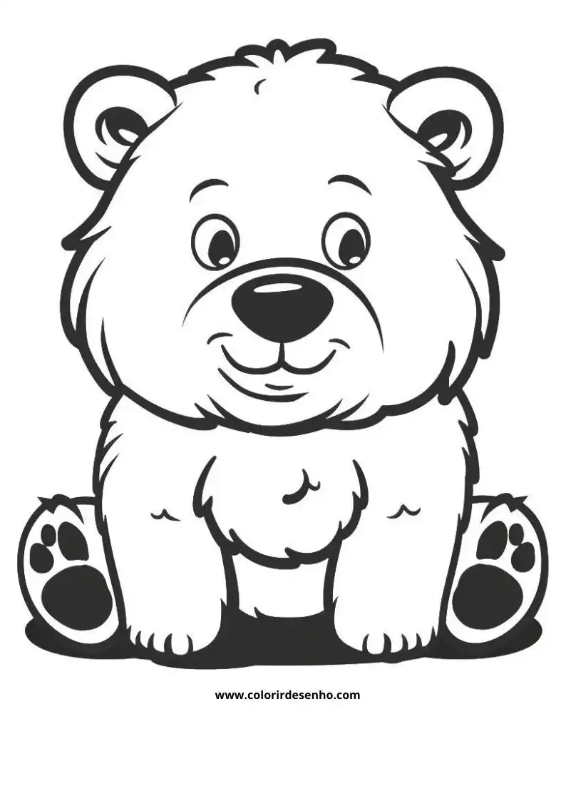 bear sitting on ground smiling small paws visible