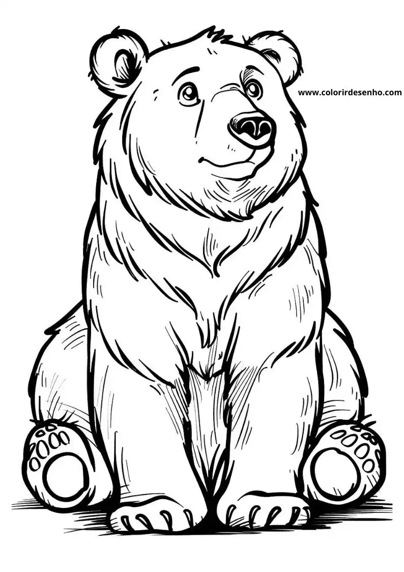 bear sitting upright in forest setting