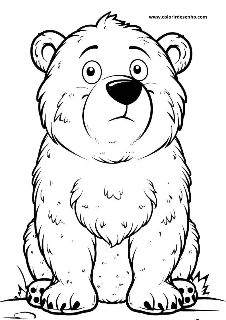 bear sitting upright looking alert grass at its feet