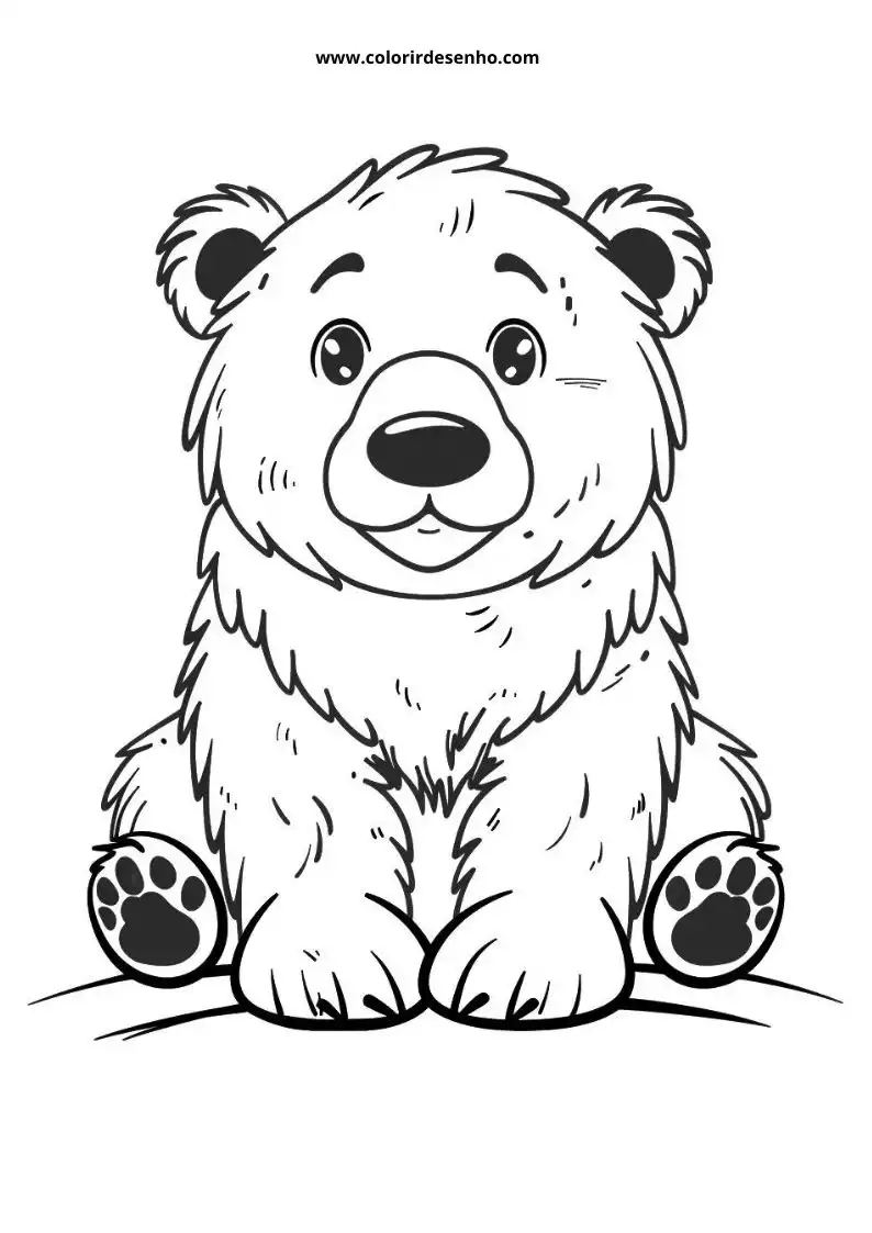 bear sitting upright looking friendly paws tucked under body simple background