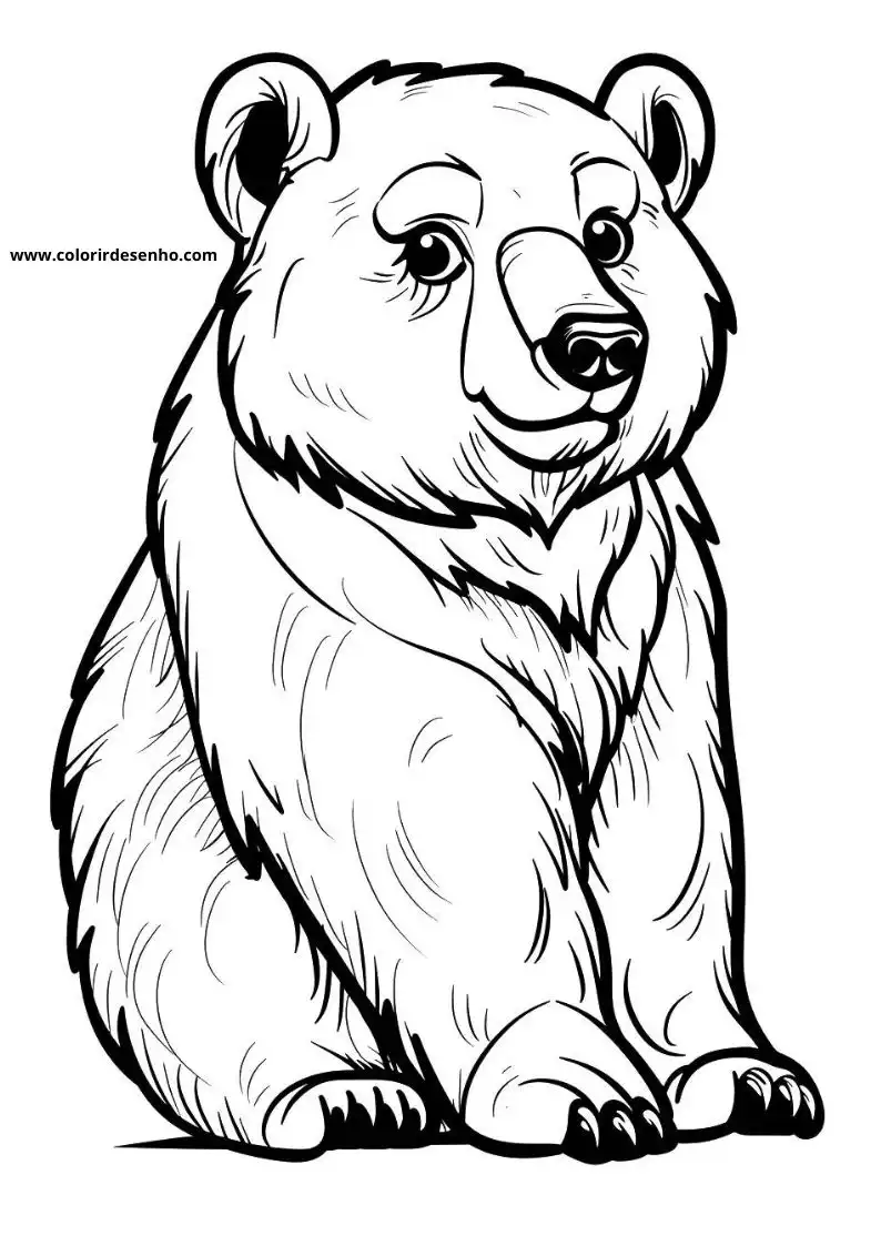 bear sitting upright looking to side small paws visible