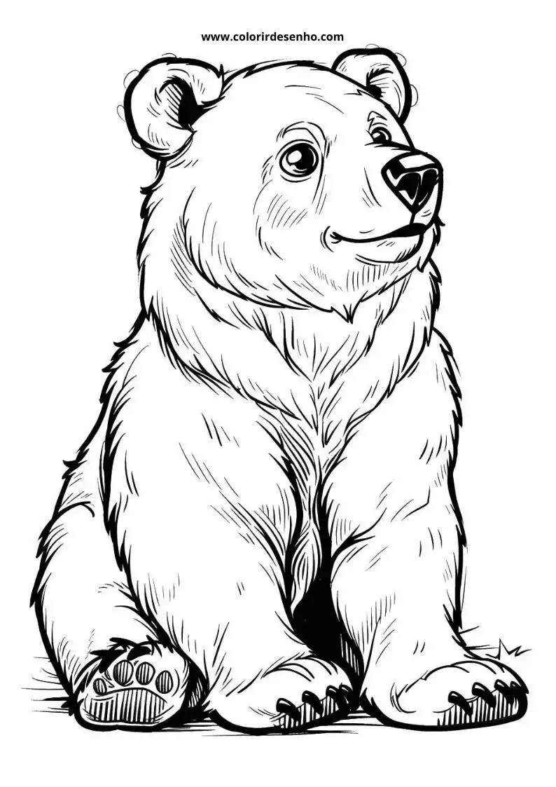 bear sitting upright looking to the side wearing no clothing or accessories