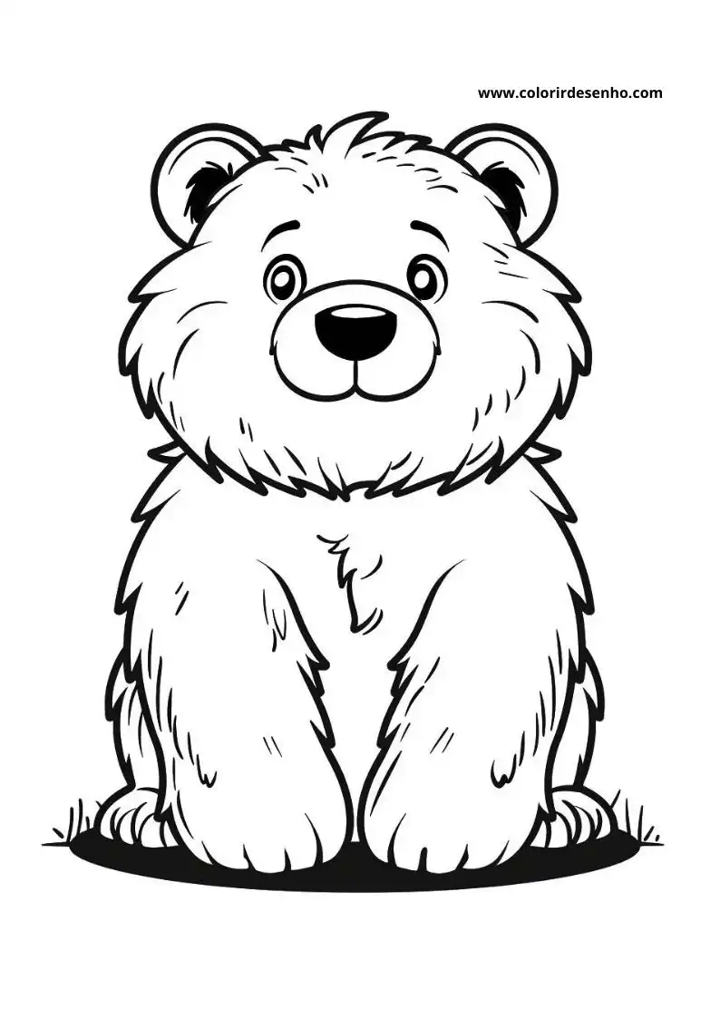 bear sitting upright on grassy ground