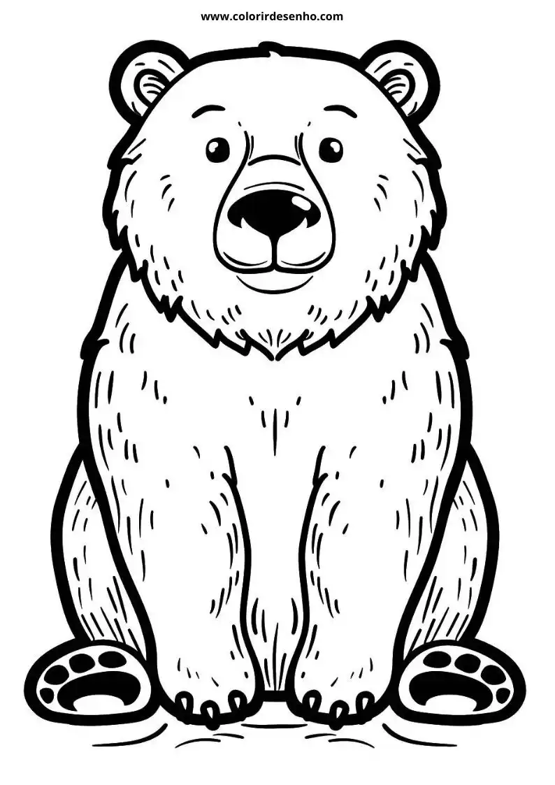 bear sitting upright on ground facing forward small round ears short snout thick fur