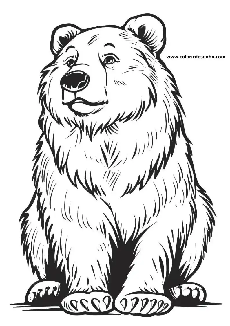 bear sitting upright smiling fur detailed setting not clearly visible