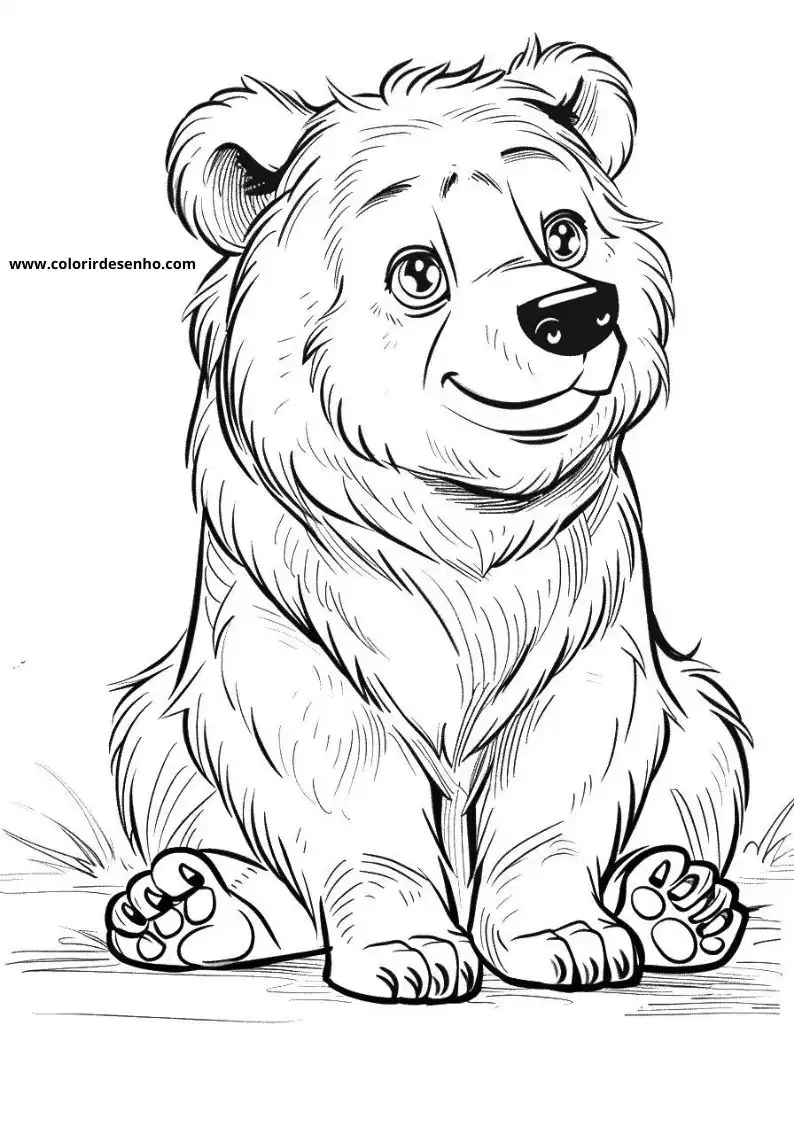 bear sitting upright smiling grass at feet