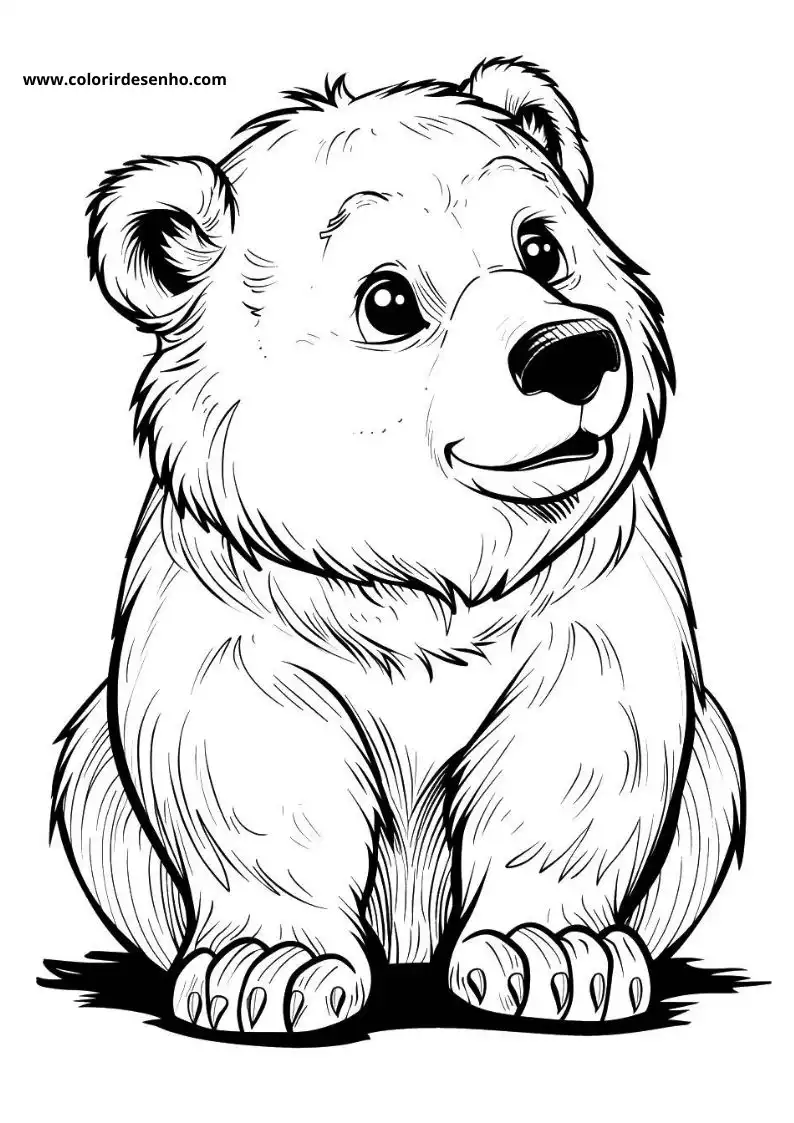 bear sitting upright smiling looking at viewer