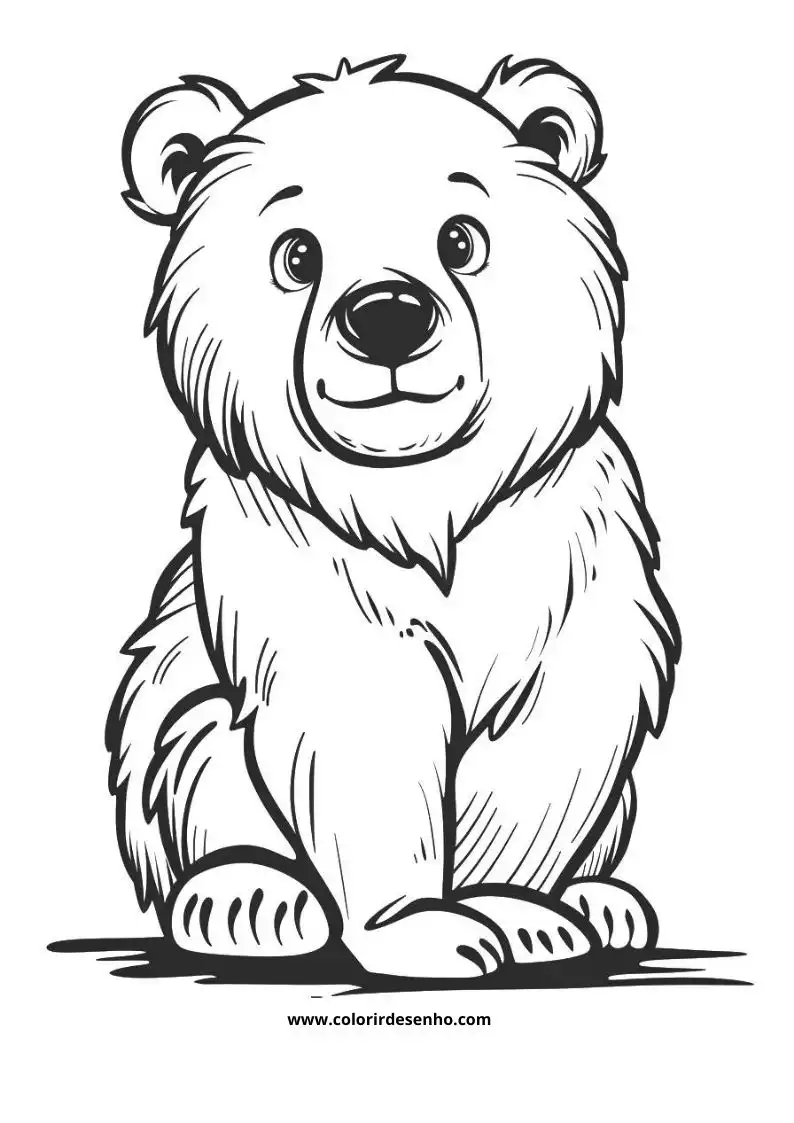bear sitting upright smiling shadow under feet