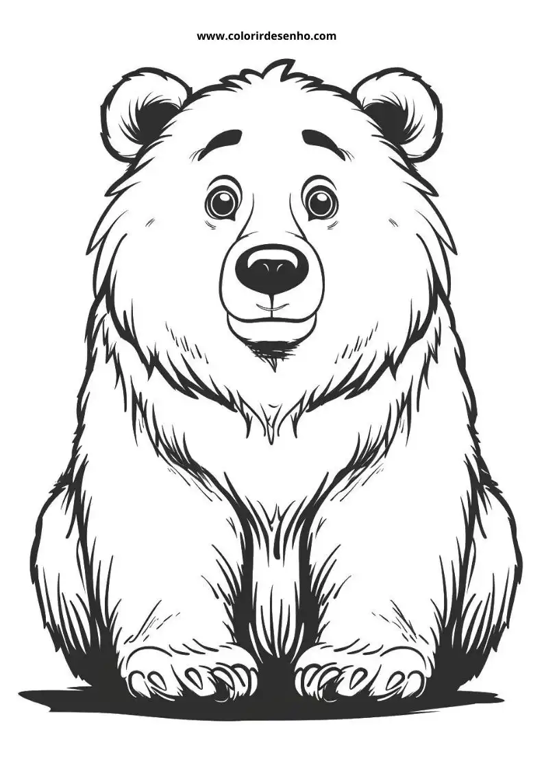 bear sitting upright with fluffy fur round ears wide eyes looking to the side