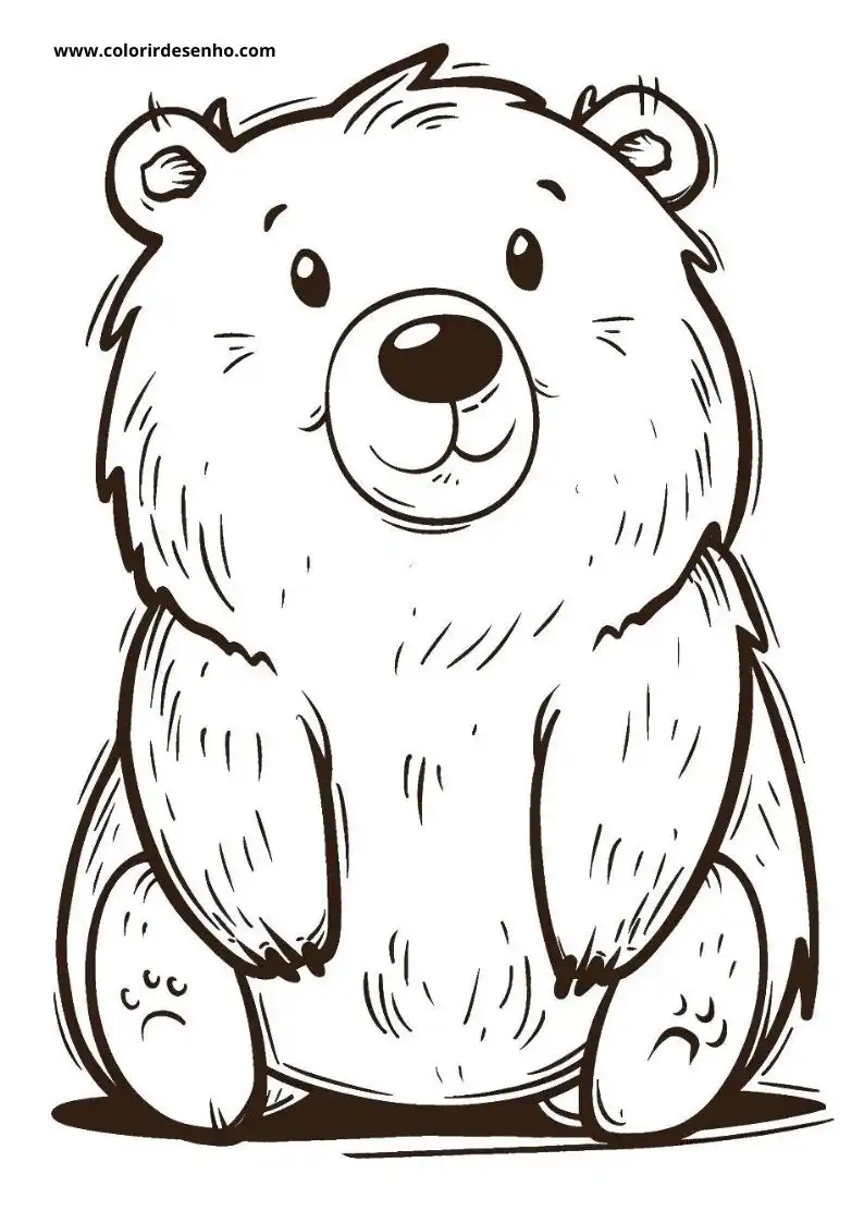 bear sitting upright with fluffy fur small ears round nose and dark eyes
