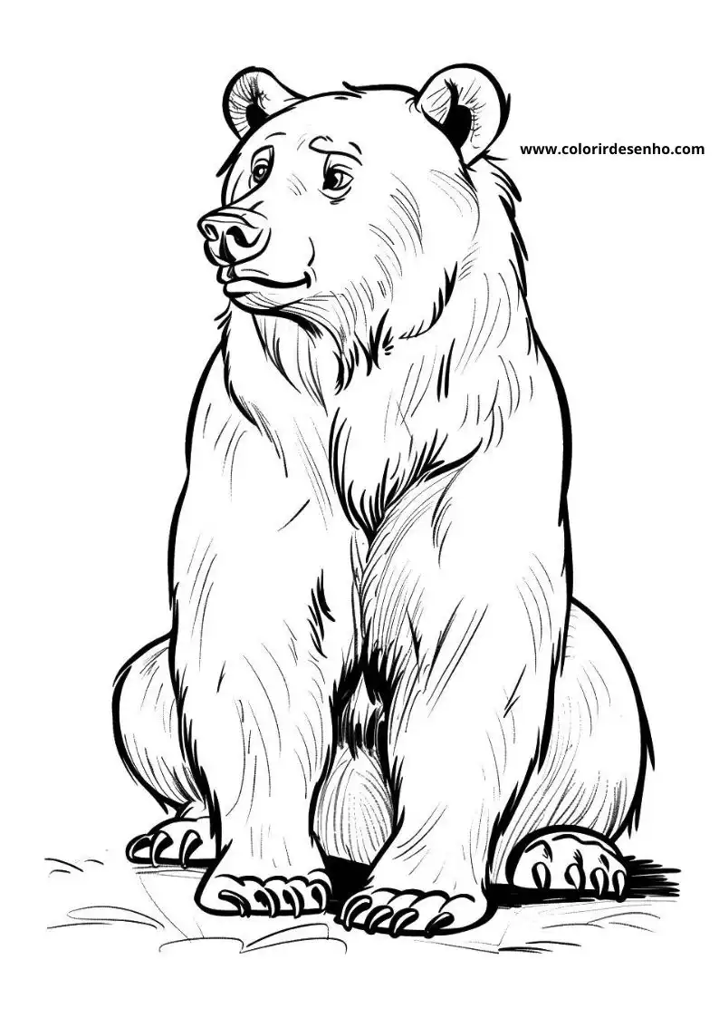 bear sitting upright with large round ears black nose looking to the side
