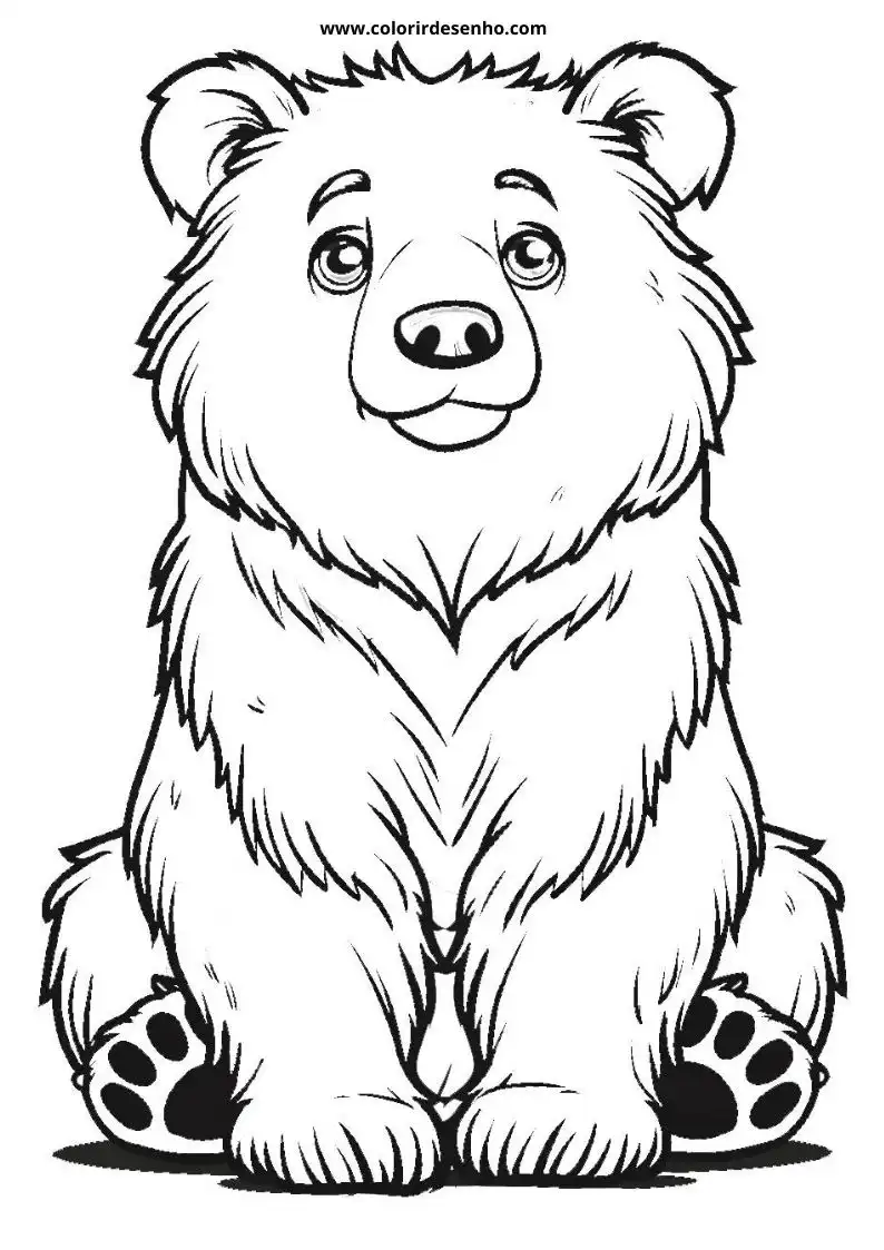bear sitting upright with soft fur texture on its body and paws