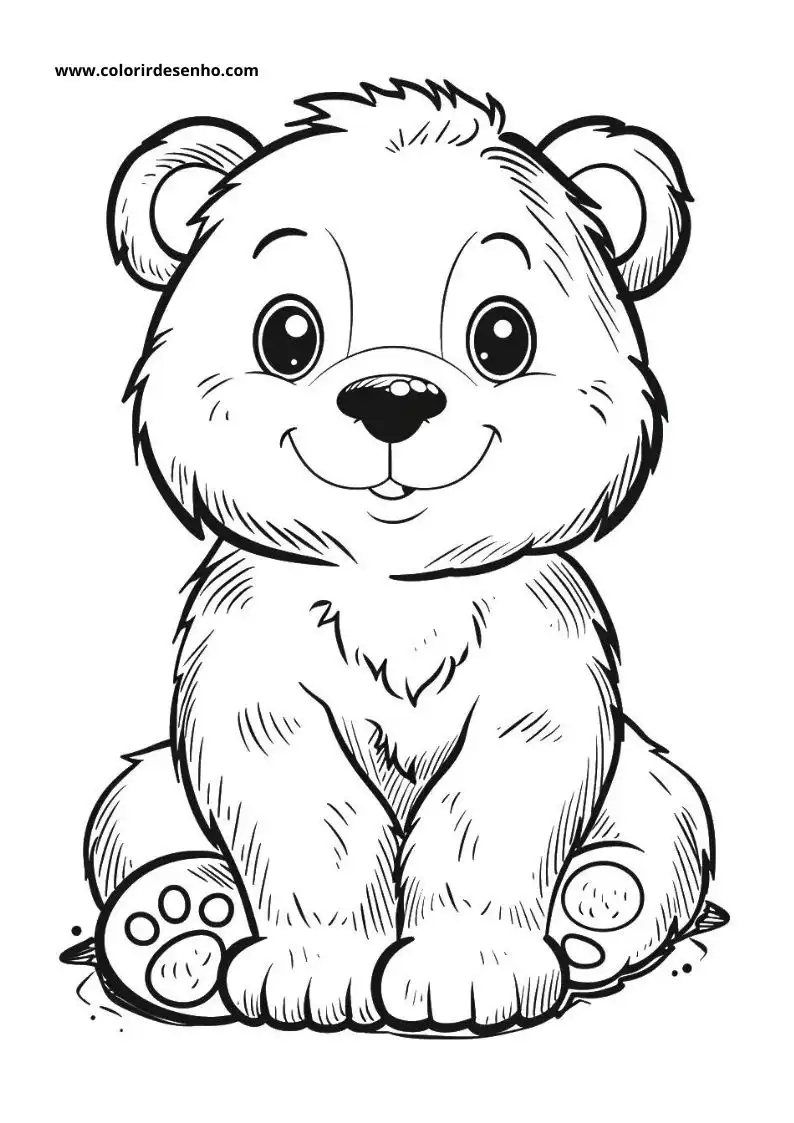 bear sitting upright with wide eyes and small smile black nose and paw pads