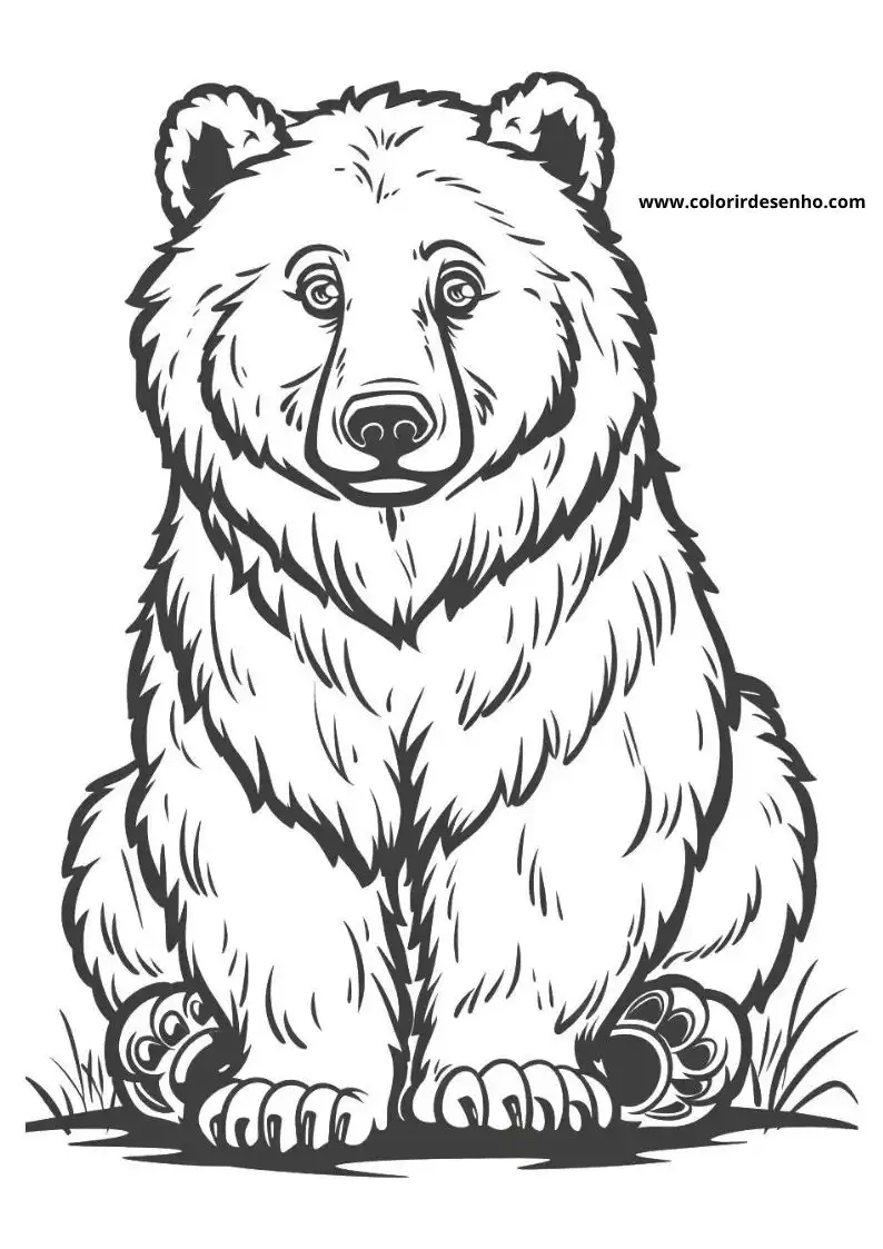 bear standing alert with grass around it