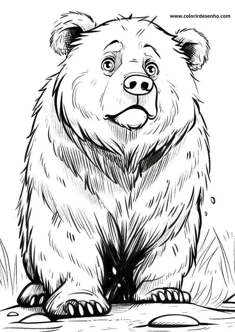 bear standing alertly in a rocky terrain