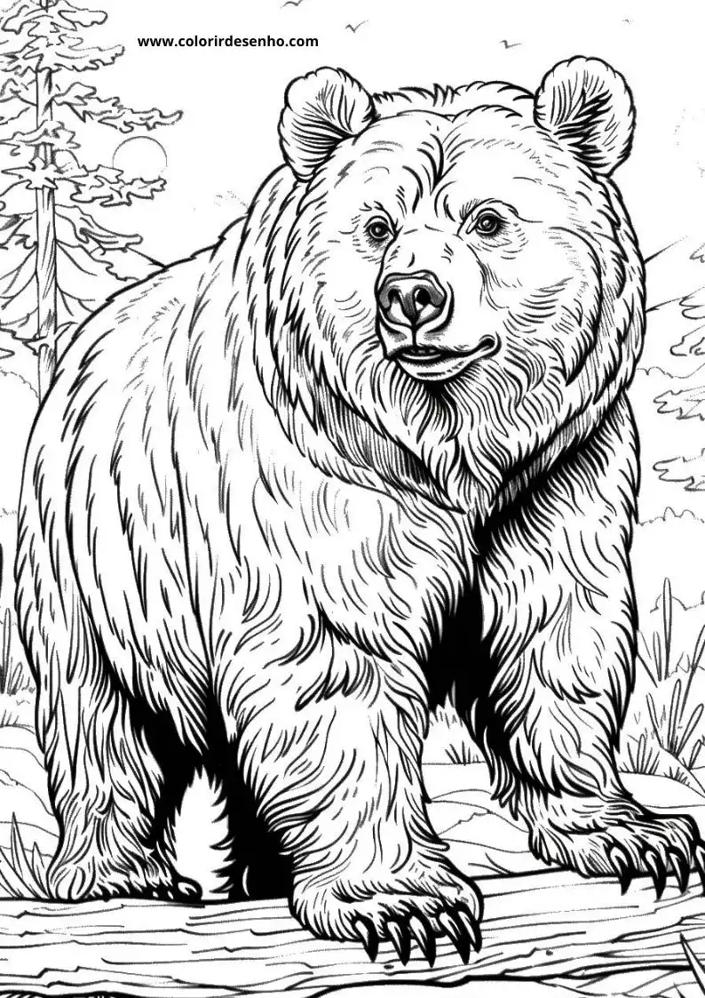 bear standing on log in forest setting