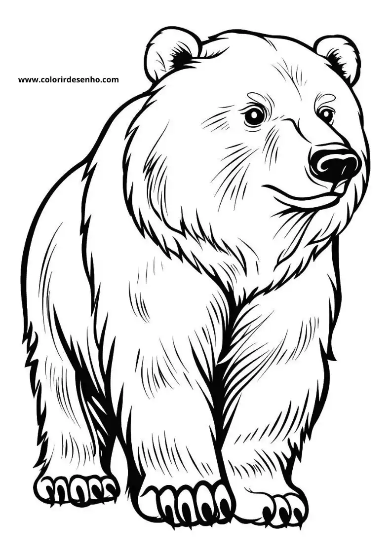 bear standing upright mouth open looking upwards