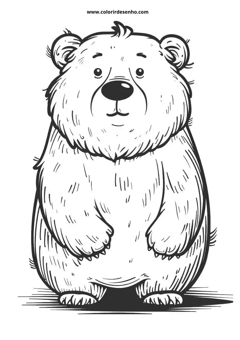 bear standing with rounded ears and round nose smiling slightly black shadow on bottom