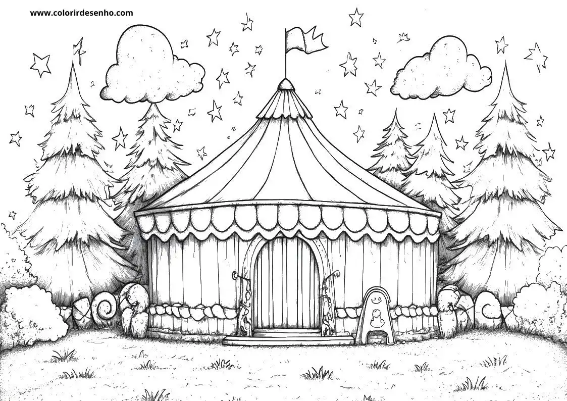 circus tent in forest under stars