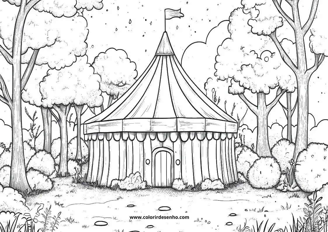 circus tent in woods under starry sky