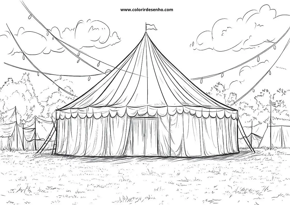 circus tent with curtains drawn back on grassy field under cloudy sky
