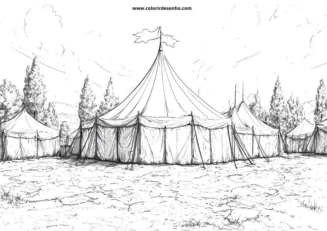 circus tents in field with flag flying from top